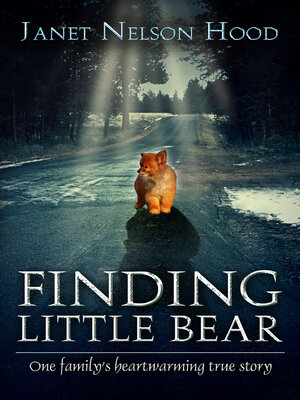 cover image of Finding Little Bear